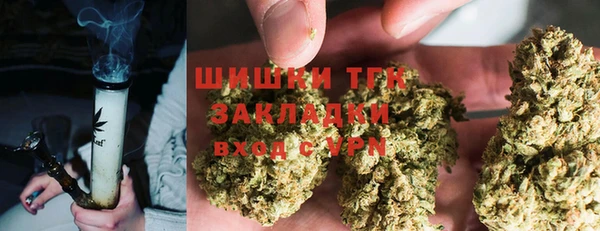сатива Алексеевка