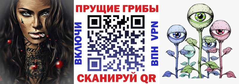 Псилоцибиновые грибы прущие грибы  Томск 
